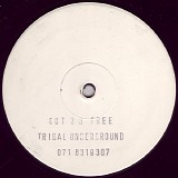 Tribal Underground & Rennie Pilgrem - Got 2 B Free