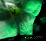 302 Acid - 302 Acid 0005