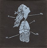 Oneiroid Psychosis - Assuage