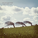 Pineapple Thief, The - What We Have Sown