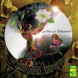 The Amorphous Androgynous - Alice In Ultraland