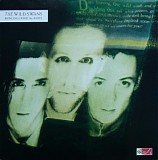 The Wild Swans - Bringing Home The Ashes