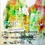 Electric Bird Noise - Live at The Basement