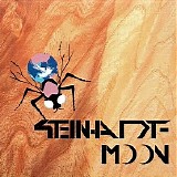 Steinhardt-Moon - Steinhardt-Moon