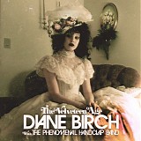 Diane Birch - The Velveteen Age
