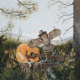 The Dandy Warhols - This Machine