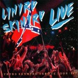Lynyrd Skynyrd - Southern By The Grace Of God