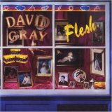 David Gray - Flesh