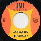 The Chevelle V - Come Back Bird