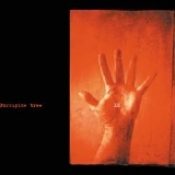 Porcupine Tree - XM