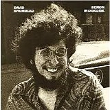 David Bromberg - Demon in Disguise