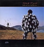 Pink Floyd - Delicate Sound of Thunder