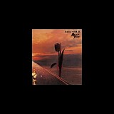 Pretty Things - Parachute - 40th Anniversary Edition