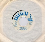 Gospel Satellites - Power of Jesus/Version