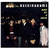 The Buckinghams - Kind of a Drag