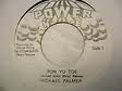 Michael Palmer - Pon Yu Toe / Version