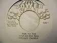 Michael Palmer - Pon Yu Toe / Version