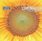 lemongrass - fleur solaire