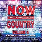 Various artists - And Now A LiL Nu-Country