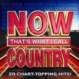 Various artists - Country #1's 2008