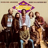 David Bromberg - Reckless Abandon--Bandit in a Bathing Suit