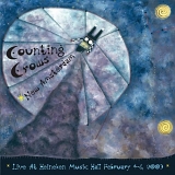 Counting Crows - New Amsterdam