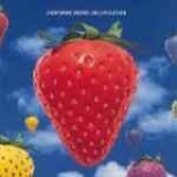 Lightning Seeds - Jollification
