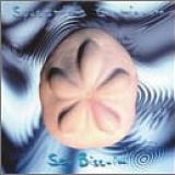 Spacetime Continuum - Sea Biscuit