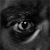 Wiley - Evolve Or Be Extinct