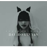 David Sylvian - Sleepwalkers