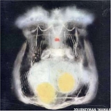 Journeyman - Mama 6
