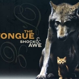 Tongue - Shock & Awe