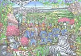 Mt Eden - MEDS EP