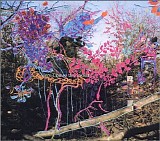Animal Collective - Here Comes the Indian