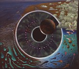 Pink Floyd - Pulse