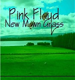 Pink Floyd - New Mown Grass
