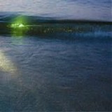 Emeralds - Emeralds