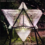 Vanaprasta - Healthy Geometry