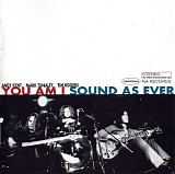 You Am I - Sound As Ever