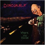 Dinosaur Jr. - Where You Been