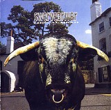 Swervedriver - Mezcal Head