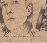 David Sylvian - Died In The Wool | Manafon Variations