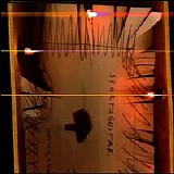 Sportsguitar - Married, 3 Kids