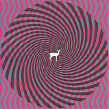 Deerhunter - Cryptograms