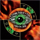Tool (band), Steve Velez, Pam Jacobson, Piotr Jandula, Eric Gorfain, Richard Dod - The String Tribute to Tool: Third Eye Open