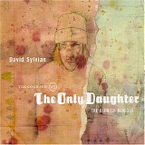 David Sylvian - The Good Son vs. The Only Daughter: Blemish Remixes