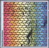 Boom Boom Satellites - On the Painted Desert - Rampant Colors