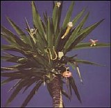 Mountain Goats - Zopilote Machine
