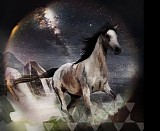 Decoder Ring - They Blind The Stars, And The Wild Team