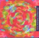 David Sylvian & Robert Fripp - Darshan